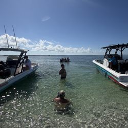 Sea Monkey Charters