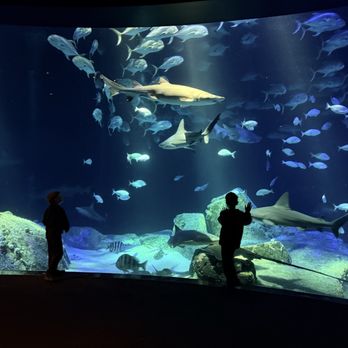 New York Aquarium - Zoos Near Me - Brooklyn, New York