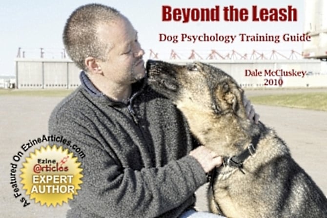 Dale McCluskey's Dog Training Image