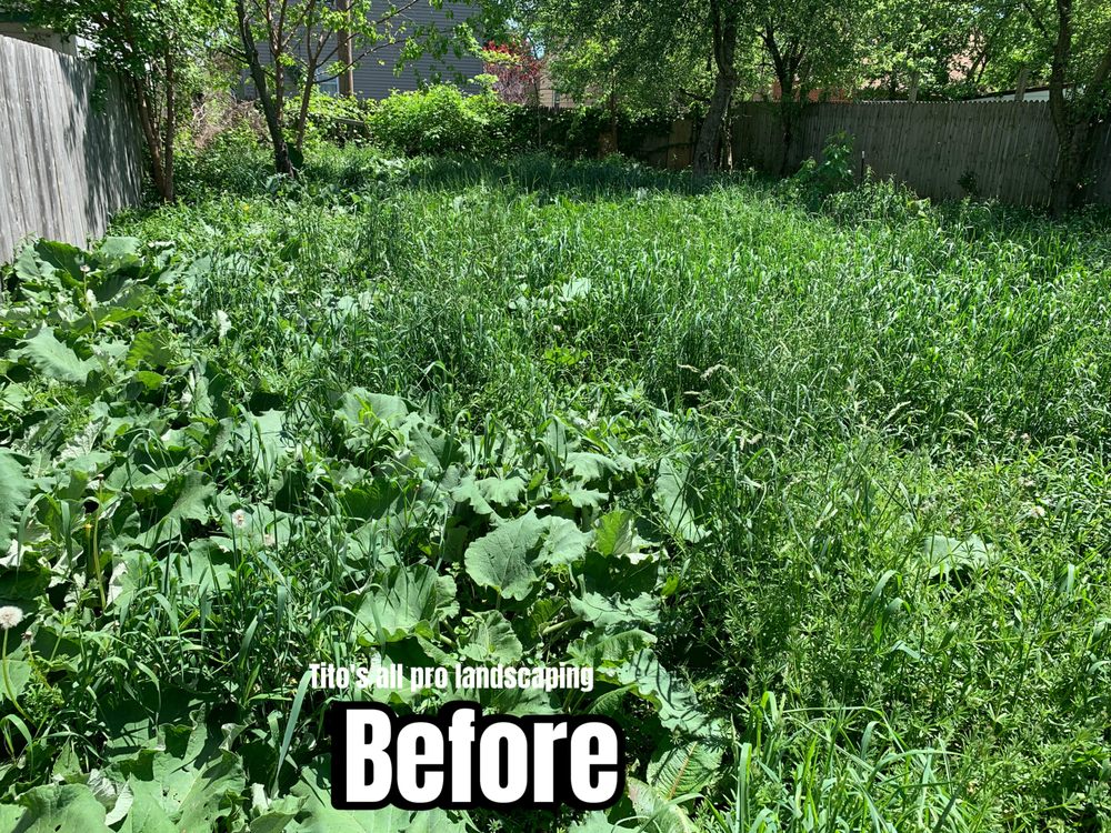 Tito’s All Pro Landscaping - tree service in Cleveland, OH