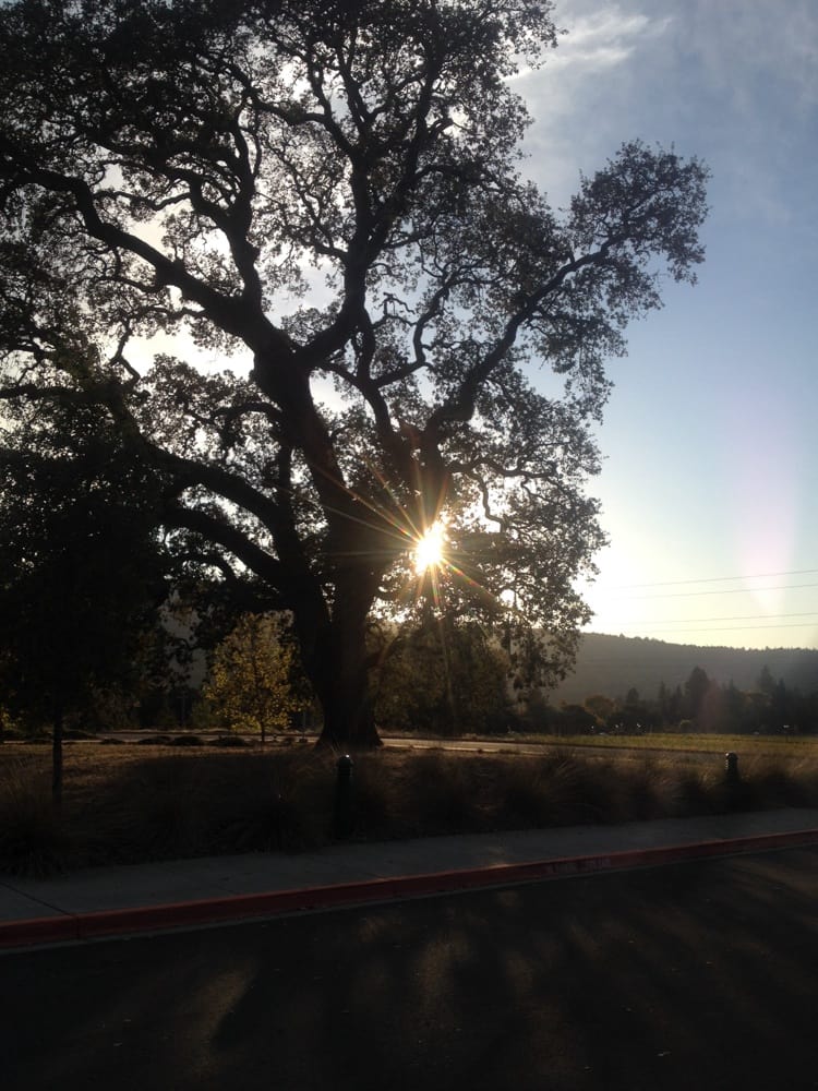 County of Sonoma: Juvenile Division - social services organization in Santa Rosa, CA