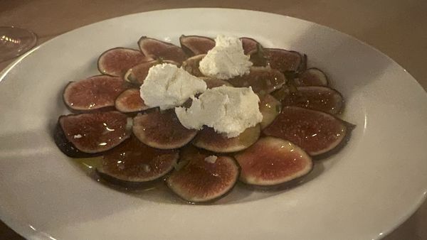 North Miznon by null