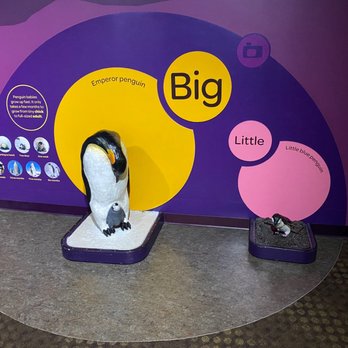 Shedd Aquarium - Aquariums Near Me - Chicago, Illinois
