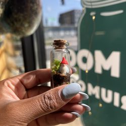 Plush Moon Terrarium - Mini Gnome Terrarium