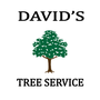 Photo of David's Tree Service