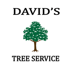 David's Tree Service