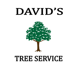 David's Tree Service - tree service in Little Rock, AR
