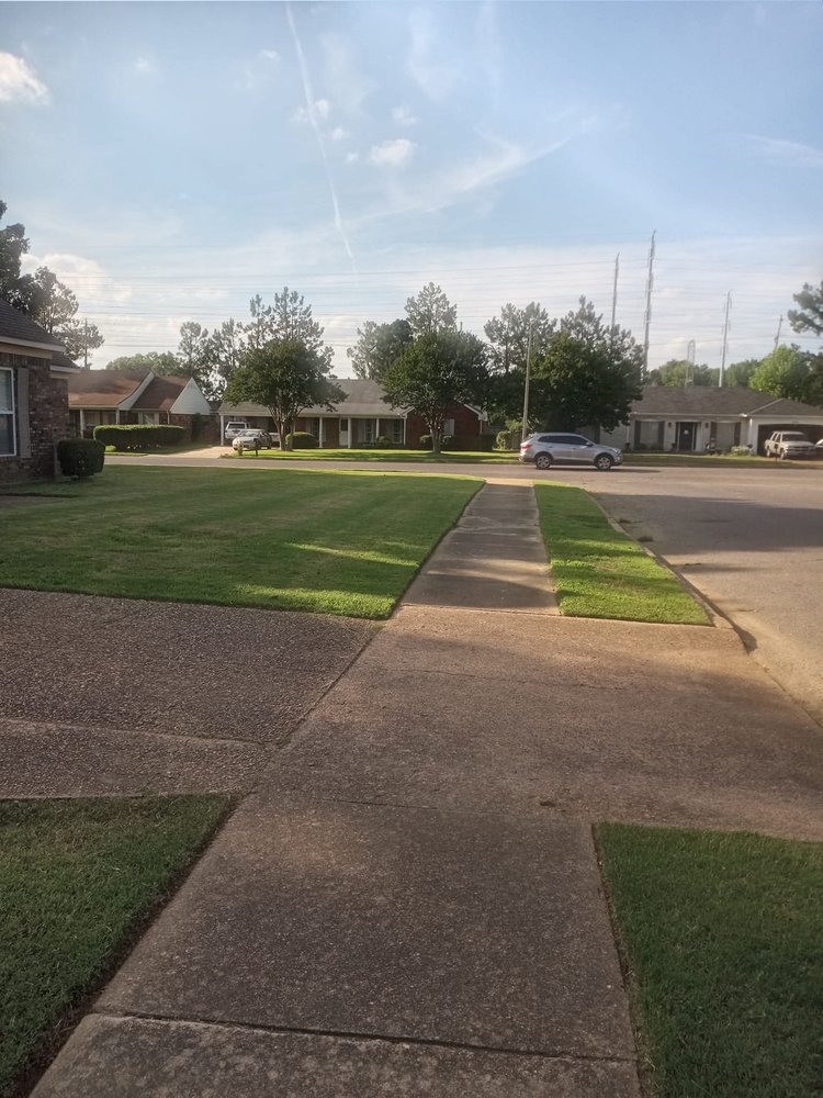 Manny Mows Lawn Service - tree service in Memphis, TN