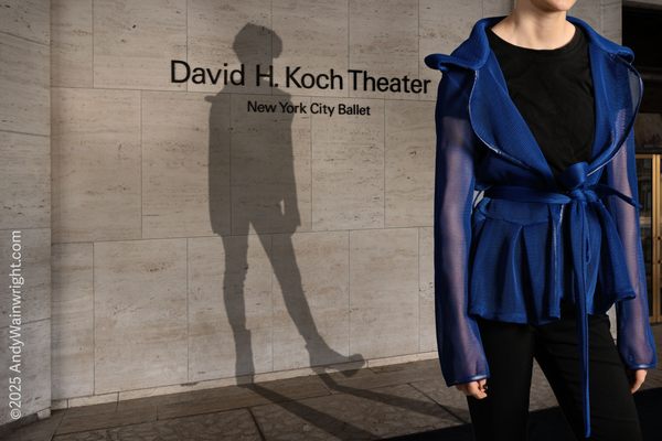 David H. Koch Theater by null