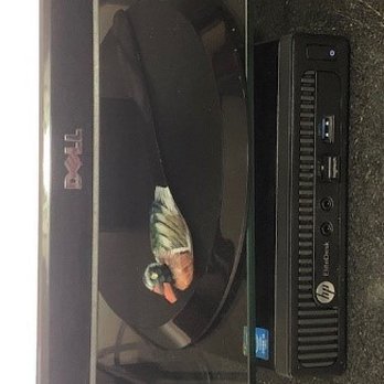 My Florida PC - PC that sits under the bridge that holds my monitor. - IT Services & Computer Repair Near Me - Plantation, Florida
