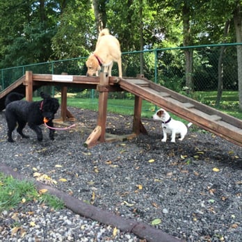 RJ WagsPark - Dog Parks Near Me - Newtown, Ohio RJ WagsPark - Dog Parks Near Me - Newtown, Ohio