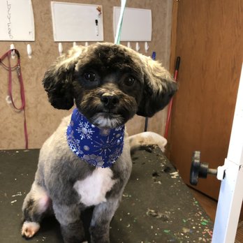 Snips & Nails - Pet Groomers Near Me - Le Claire, Iowa Snips & Nails - Pet Groomers Near Me - Le Claire, Iowa