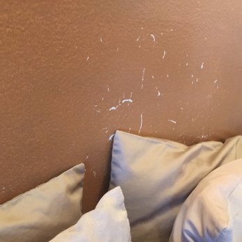 Robinhood Resort - Just disgusted - Big Bear Lake, CA