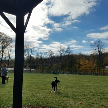 Cheshire Dog Park - Dog Parks Near Me - Cheshire, Connecticut Cheshire Dog Park - Dog Parks Near Me - Cheshire, Connecticut
