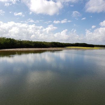 Manatee Viewing Center - Zoos Near Me - Apollo Beach, Florida Manatee Viewing Center - Zoos Near Me - Apollo Beach, Florida