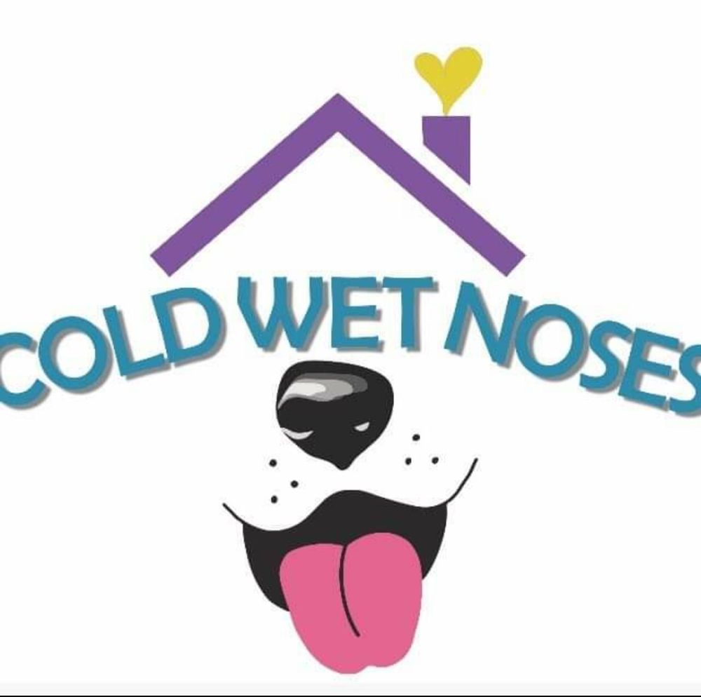 COLD WET NOSES Updated April 2024 Jacksonville, Florida Dog