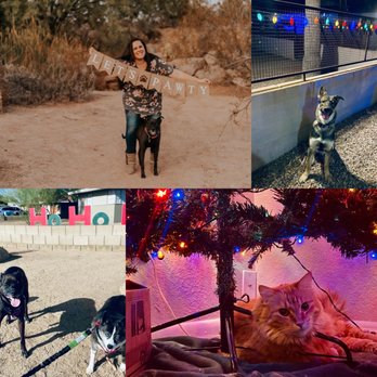 Creating Moments of Joy - Happy holidays and friendly reminder from my furry friends to yours- don't forget to secure any services you may need this month! - Dog Walkers Near Me Creating Moments of Joy - Happy holidays and friendly reminder from my furry friends to yours- don't forget to secure any services you may need this month! - Dog Walkers Near Me