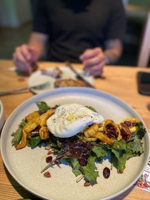 The Alchemists' Garden by null