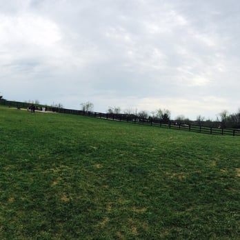 Jacobson Park Dog Park - A great view of the park from up the hill - Dog Parks Near Me - Lexington, Kentucky Jacobson Park Dog Park - A great view of the park from up the hill - Dog Parks Near Me - Lexington, Kentucky