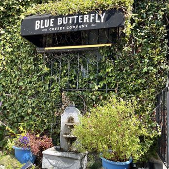 Blue Butterfly Coffee Co - Cute little garden outside - Coffee & Tea Near Me - El Segundo, California Blue Butterfly Coffee Co - Cute little garden outside - Coffee & Tea Near Me - El Segundo, California