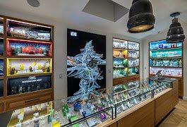 Cana Beverly Cannabis Dispensary by null
