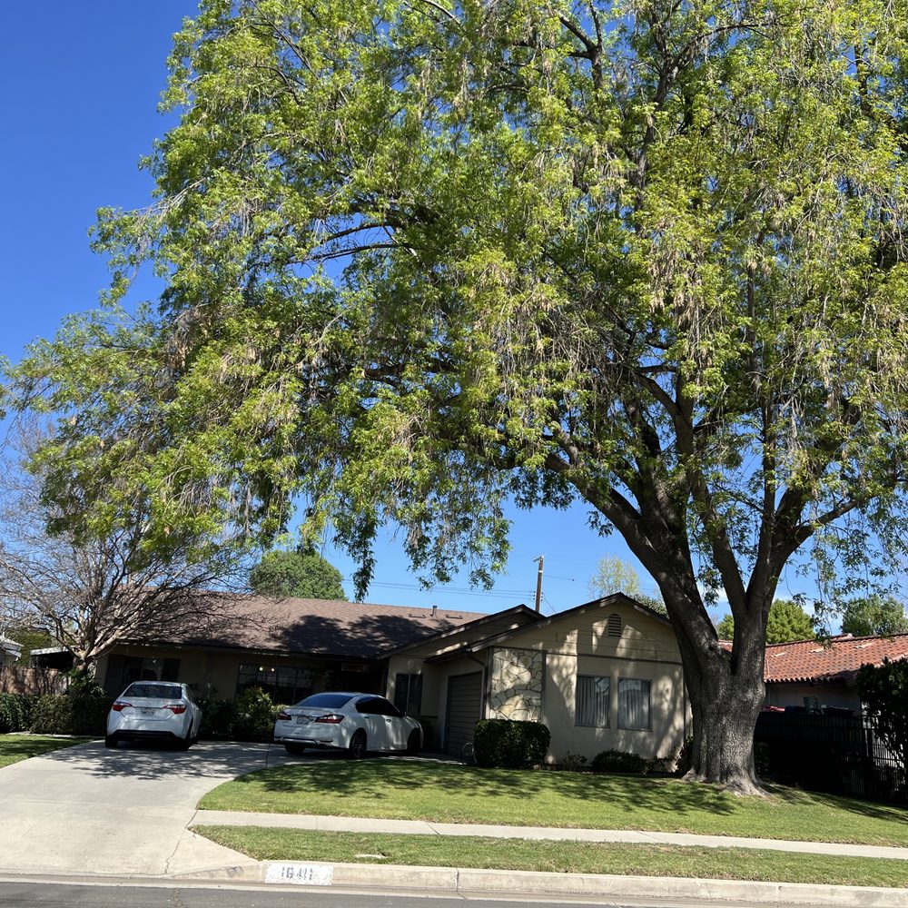 THE BEST 10 Tree Services near La Crescenta-Montrose, CA - Quality &  Affordability - Updated 2026 - Yelp