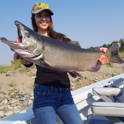 Mike Bogue's Guide Service - Salmon caught on the Sacramento River on mike Bogue's boat