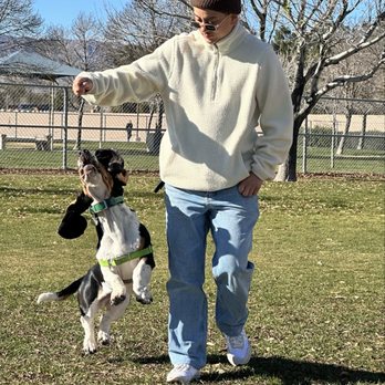 Barkin' Basin Dog Park - Come on! It's treat time! - Dog Parks Near Me - Las Vegas, Nevada