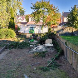 Lofty Heights Tree Care