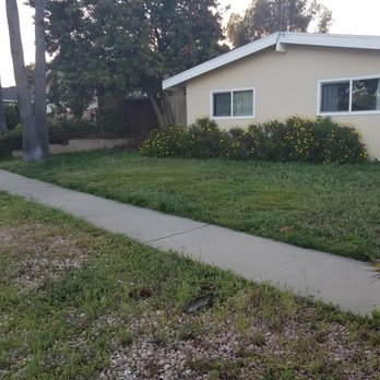 Four Guys Landscaping - Before - Landscaping Near Me - National City, California