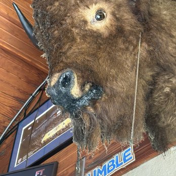 Nic's Grill - Dirty and dusty buffalo head. - Burgers Near Me - Oklahoma City, Oklahoma Nic's Grill - Dirty and dusty buffalo head. - Burgers Near Me - Oklahoma City, Oklahoma