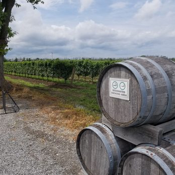 Between the Lines Winery - a row of wine barrels - Wineries Near Me - Niagara-on-the-Lake, Ontario Between the Lines Winery - a row of wine barrels - Wineries Near Me - Niagara-on-the-Lake, Ontario