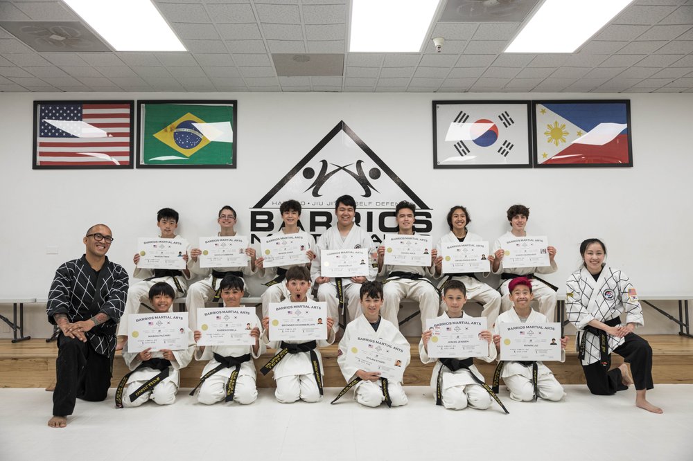 Barrios Martial Arts Logo