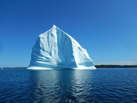 Iceberg Quest Ocean Tours by null