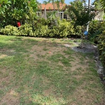 TruGreen Lawn Care - Tree Services Near Me - Sarasota, Florida TruGreen Lawn Care - Tree Services Near Me - Sarasota, Florida