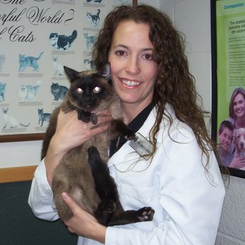 Salina Veterinary Hospital - Dr. Gore - Pet Groomers Near Me - Salina, Kansas Salina Veterinary Hospital - Dr. Gore - Pet Groomers Near Me - Salina, Kansas