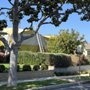 Photo of Excellent Fumigation