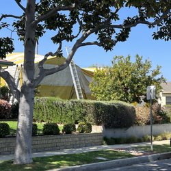 Excellent Fumigation