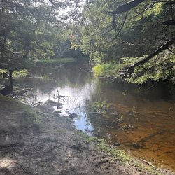 Cathance River Nature Reserve Trails