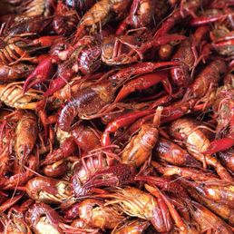 Best crawfish on the Coast!! Best crawfish on the Coast!!