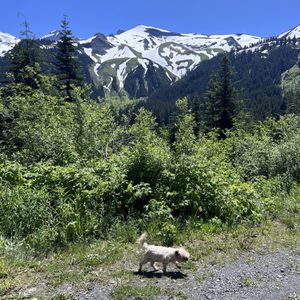 Heliotrope Ridge Trailhead on Yelp