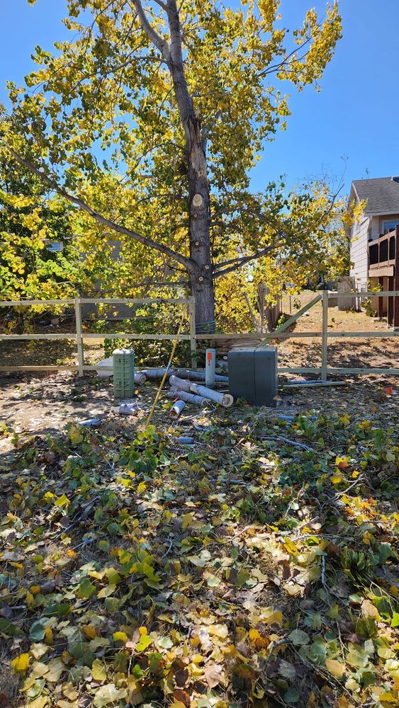 A. Sanford Trimming - tree service in Andover, KS