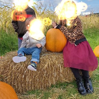 K & R Farms - Pumpkin patch - Ice Cream & Frozen Yogurt Near Me - Oak Harbor, Washington K & R Farms - Pumpkin patch - Ice Cream & Frozen Yogurt Near Me - Oak Harbor, Washington