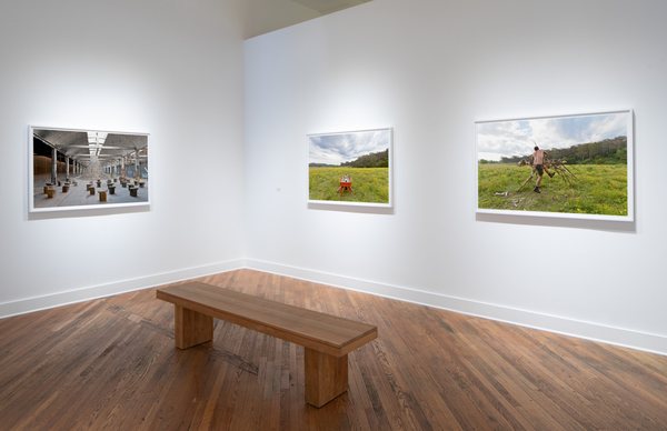 David Klein Gallery by null