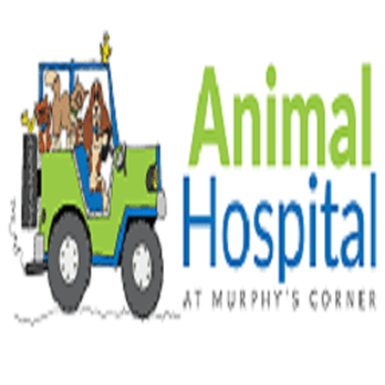 Animal Hospital At Murphy's Corner - Veterinarians Near Me - Everett, Washington Animal Hospital At Murphy's Corner - Veterinarians Near Me - Everett, Washington