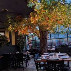 Stella Notte - Interior