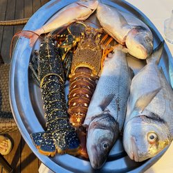 Torre di Venere - Daily catch