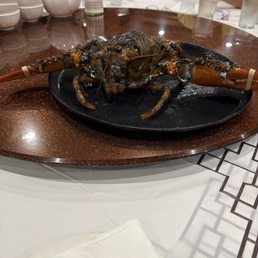 Whole lobster