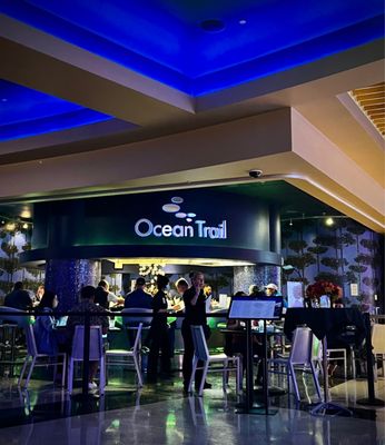 Ocean Trail by null