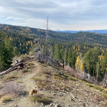 Swauk Forest Discovery Trail - Hiking Near Me
